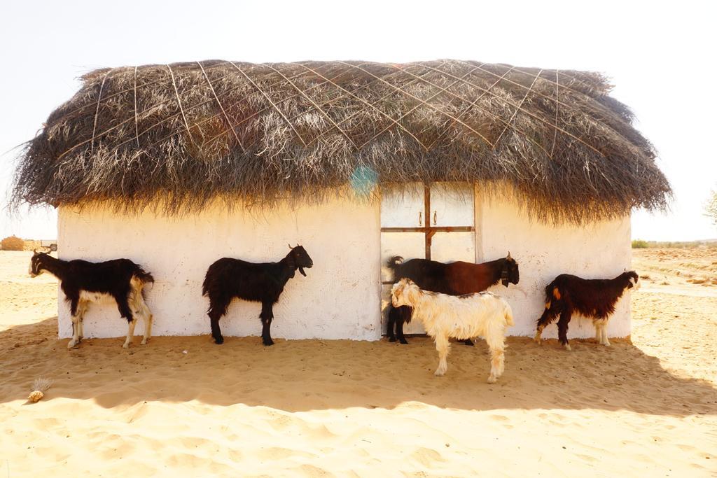 Mala Ki Dhani Jaisalmer Buitenkant foto