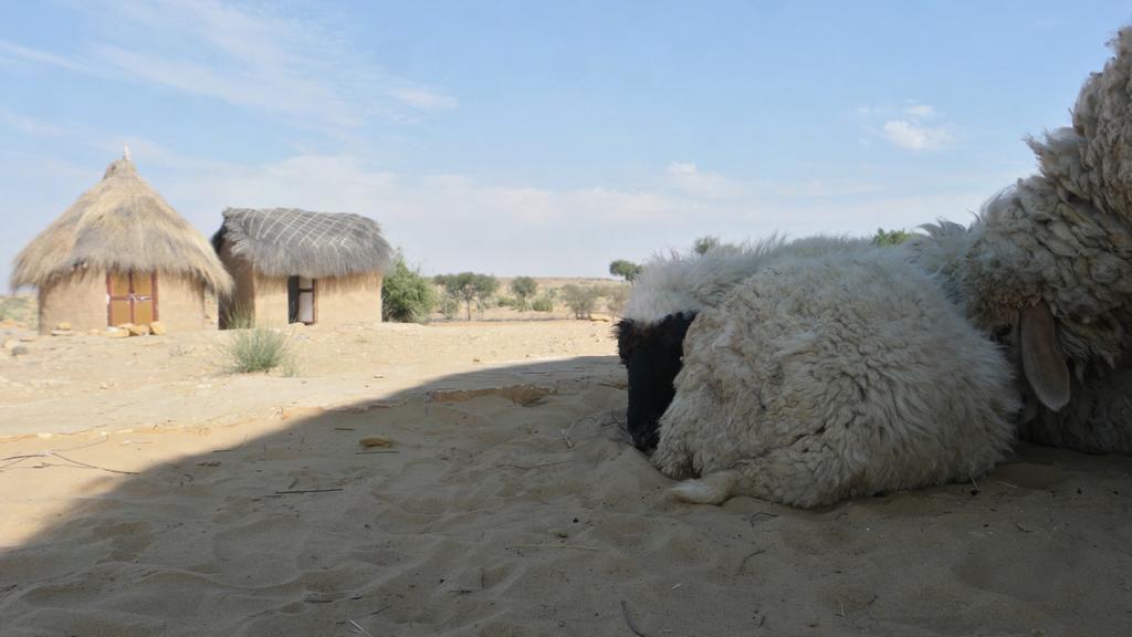 Mala Ki Dhani Jaisalmer Buitenkant foto